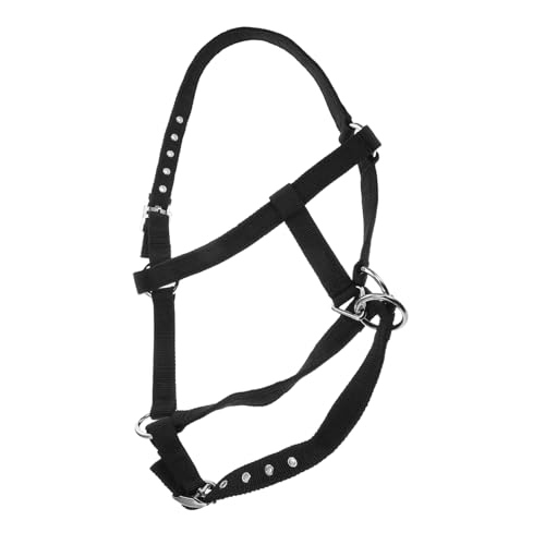 BESPORTBLE Zubehör Für Die Reitausbildung Handhalterung Verstellbarer Balken Gürtelzaum Dekoration Helme Erweiterbare Bar Markenleiste Kapseln Für Verkaufsautomaten Seilzaum Nylon Black BESPORTBLE Zubehör Für Die Reitausbildung Handhalterung Verstellbarer Balken Gürtelzaum Dekoration Helme Erweiterbare Bar Markenleiste Kapseln Für Verkaufsautomaten Seilzaum Nylon Black von BESPORTBLE