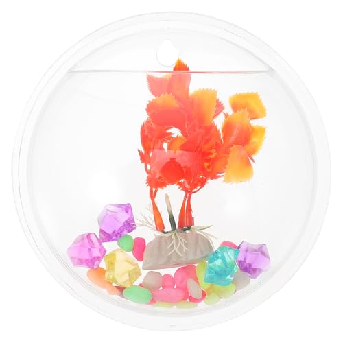 BESPORTBLE an der Wand befestigtes Aquarium Pumpe Schläuche Leistung Multifunktional Mittelstücke einmachgläser Vase zum Aufhängen an der Wand Wohnkultur schickes Aquarium Acryl Transparent BESPORTBLE an der Wand befestigtes Aquarium Pumpe Schläuche Leistung Multifunktional Mittelstücke einmachgläser Vase zum Aufhängen an der Wand Wohnkultur schickes Aquarium Acryl Transparent von BESPORTBLE