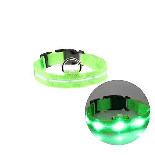 BESPORTBLE beleuchteter Kragen blinkendes Haustierhalsband Camping-Haustierhalsband Haustierhalsband für Abendwanderung geführtes Netz Hundehalsband LED-Haustierhalsband Rundhals Lichtleiste BESPORTBLE beleuchteter Kragen blinkendes Haustierhalsband Camping-Haustierhalsband Haustierhalsband für Abendwanderung geführtes Netz Hundehalsband LED-Haustierhalsband Rundhals Lichtleiste von BESPORTBLE
