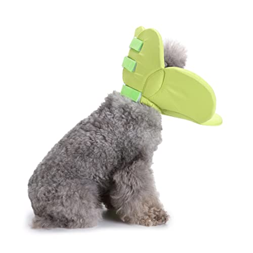 BESPORTBLE Leichtes Waschbares Hundehalsband Elastisch Elisabethanisches Kegelmuster für Die Von Haustieren L BESPORTBLE Leichtes Waschbares Hundehalsband Elastisch Elisabethanisches Kegelmuster für Die Von Haustieren L von BESPORTBLE