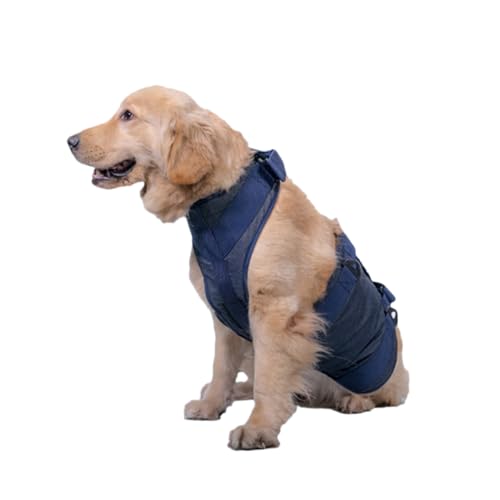 BESPORTBLE Hundehilfsband Für Kranke Und Alte Hunde Tragbarer Medizinischer Gurt Für Haustiere Unterstützungsgurt Für Schwache Hunde Größe S Ideal Für Den Täglichen Gebrauch Und von BESPORTBLE