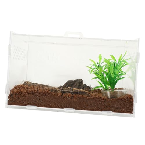 BESPORTBLE transparentes Terrarium Einsiedlerkrebskäfig Schildkrötengehege Schlangengehege klares Reptilienbecken Reptilienterrarium gehäuse Terrarium für Reptilien Eidechsenkäfig Acryl von BESPORTBLE