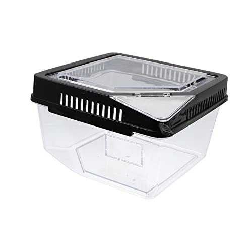Kasten Reptilien Terrarium Fall Einer Reptilienzucht Heimtierbedarf Futterbehälter Für Reptilien Kletternder Futterbehälter Für Haustiere Reptilienterrarium Black Plastik BESPORTBLE von BESPORTBLE