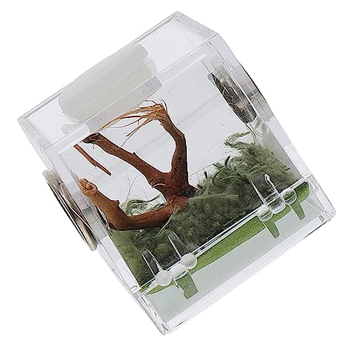 Kasten Springspinnen-zuchtbox Kleines Terrarium Reptilienhalter Lebensraum Fall Zuchtfall Für Haustierspinnen Springender Spinnenkäfig Sprungspinnengehege Gehäuse Tank Acryl BESPORTBLE Kasten Springspinnen-zuchtbox Kleines Terrarium Reptilienhalter Lebensraum Fall Zuchtfall Für Haustierspinnen Springender Spinnenkäfig Sprungspinnengehege Gehäuse Tank Acryl BESPORTBLE von BESPORTBLE