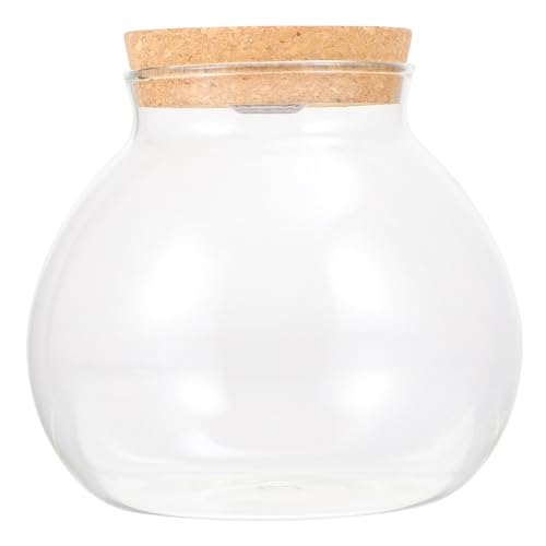 BESPORTBLE Terrarium Glas mit Weißem Licht Home Decor Landschaft Flasche Glas BESPORTBLE Terrarium Glas mit Weißem Licht Home Decor Landschaft Flasche Glas von BESPORTBLE