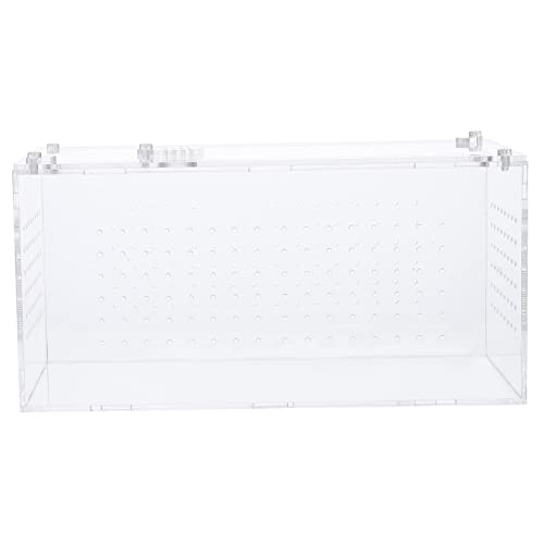 BESPORTBLE Große Eidechsenbox Für Die Reptilienzucht. Tragbarer Schlangenkäfig Aus Acryl Futtervorräte Und Frischluftbelüftung BESPORTBLE Große Eidechsenbox Für Die Reptilienzucht. Tragbarer Schlangenkäfig Aus Acryl Futtervorräte Und Frischluftbelüftung von BESPORTBLE