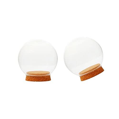 BESSTUUP 2 Stück Durchmesser 12 cm transparente Glaskuppelabdeckung für Sukkulenten, Terrarien mit Holzkorkboden für Zuhause, Arbeitszimmer, Raumdekoration von BESSTUUP