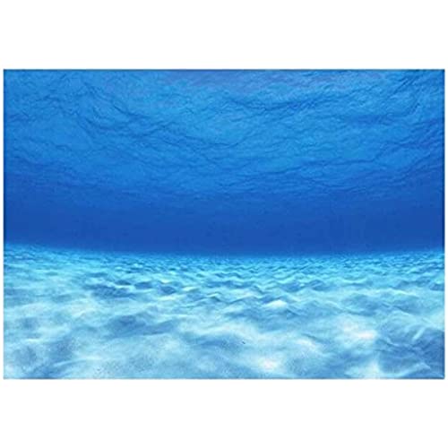 BESSTUUP PVC-3D-Poster, selbstklebend, Meerwasser-Bild für Aquarien, Hintergrund (76 x 56 cm) von BESSTUUP