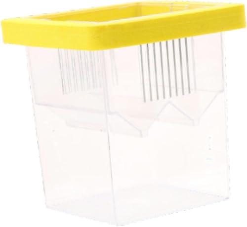 BESSTUUP Schwimmende Inkubationsbox Fischzuchtbox Aquarium Züchter Feeder Fish Tank Hatchery Fisch Isolationsbox für Babyfische Betta, Gelb BESSTUUP Schwimmende Inkubationsbox Fischzuchtbox Aquarium Züchter Feeder Fish Tank Hatchery Fisch Isolationsbox für Babyfische Betta, Gelb von BESSTUUP