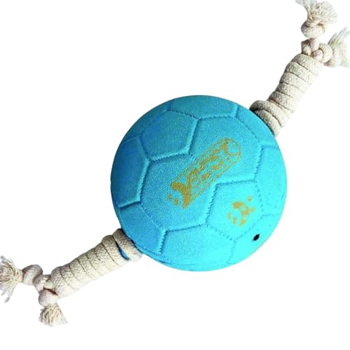 BEST SPORTING Hundespielzeug Ball mit Seil – Interaktives Tauzieh-Spielzeug, 16 cm, Robustes Gummi, für kleine & mittelgroße Hunde, in Rot oder Blau (Hellblau) von BEST SPORTING