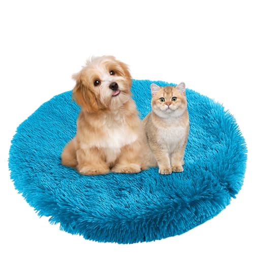 BESTORI Hundebett Flauschig Katzen Schlafplatz Matte Waschbar Hundekissen Haustierbett Weiche Polsterung für Kleine Mittel Große Haustier, Blau, 70 x 70 cm von BESTORI