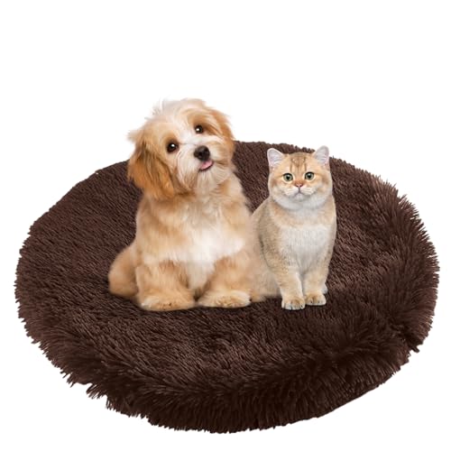 BESTORI Hundebett Flauschig Katzen Schlafplatz Matte Waschbar Hundekissen Haustierbett Weiche Polsterung für Kleine Mittel Große Haustier, Braun 1, 80 x 80 cm BESTORI Hundebett Flauschig Katzen Schlafplatz Matte Waschbar Hundekissen Haustierbett Weiche Polsterung für Kleine Mittel Große Haustier, Braun 1, 80 x 80 cm von BESTORI