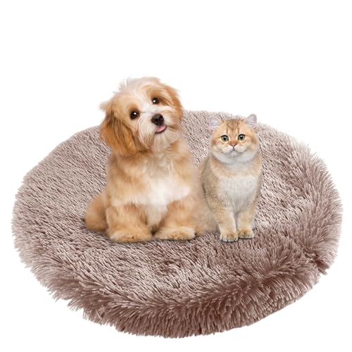 BESTORI Hundebett Flauschig Katzen Schlafplatz Matte Waschbar Hundekissen Haustierbett Weiche Polsterung für Kleine Mittel Große Haustier, Braun 2, 80 x 80 cm BESTORI Hundebett Flauschig Katzen Schlafplatz Matte Waschbar Hundekissen Haustierbett Weiche Polsterung für Kleine Mittel Große Haustier, Braun 2, 80 x 80 cm von BESTORI