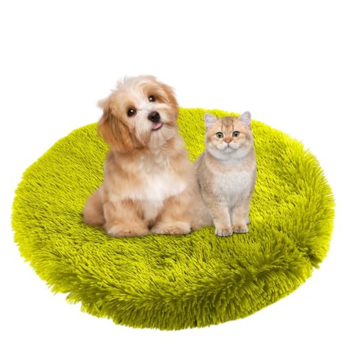 BESTORI Hundebett Flauschig Katzen Schlafplatz Matte Waschbar Hundekissen Haustierbett Weiche Polsterung für Kleine Mittel Große Haustier, Grün 1, 90 x 90 cm von BESTORI