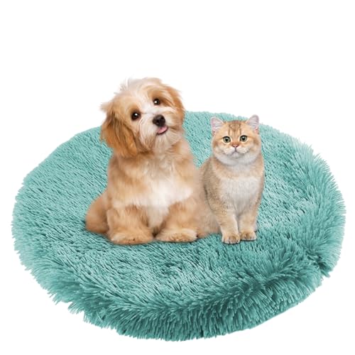 BESTORI Hundebett Flauschig Katzen Schlafplatz Matte Waschbar Hundekissen Haustierbett Weiche Polsterung für Kleine Mittel Große Haustier, Grün 2, 50 x 50 cm von BESTORI