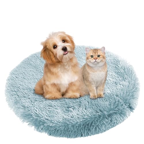 BESTORI Hundebett Flauschig Katzen Schlafplatz Matte Waschbar Hundekissen Haustierbett Weiche Polsterung für Kleine Mittel Große Haustier, Hellblau, 80 x 80 cm BESTORI Hundebett Flauschig Katzen Schlafplatz Matte Waschbar Hundekissen Haustierbett Weiche Polsterung für Kleine Mittel Große Haustier, Hellblau, 80 x 80 cm von BESTORI