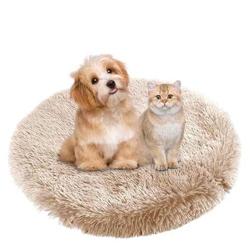 BESTORI Hundebett Flauschig Katzen Schlafplatz Matte Waschbar Hundekissen Haustierbett Weiche Polsterung für Kleine Mittel Große Haustier, Khaki, 80 x 80 cm BESTORI Hundebett Flauschig Katzen Schlafplatz Matte Waschbar Hundekissen Haustierbett Weiche Polsterung für Kleine Mittel Große Haustier, Khaki, 80 x 80 cm von BESTORI