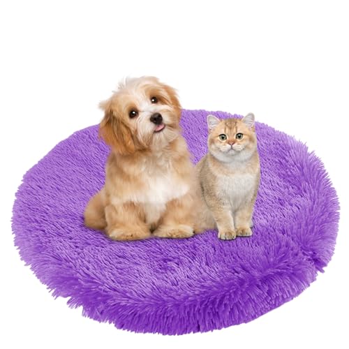 BESTORI Hundebett Flauschig Katzen Schlafplatz Matte Waschbar Hundekissen Haustierbett Weiche Polsterung für Kleine Mittel Große Haustier, Lila, 90 x 90 cm BESTORI Hundebett Flauschig Katzen Schlafplatz Matte Waschbar Hundekissen Haustierbett Weiche Polsterung für Kleine Mittel Große Haustier, Lila, 90 x 90 cm von BESTORI