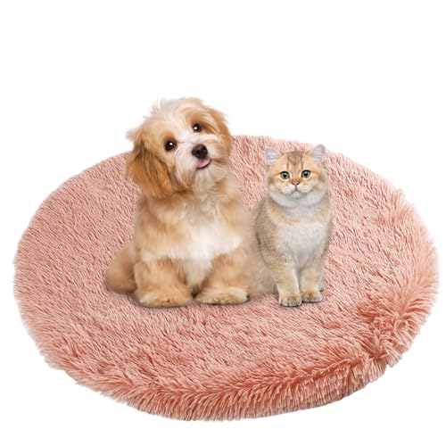 BESTORI Hundebett Flauschig Katzen Schlafplatz Matte Waschbar Hundekissen Haustierbett Weiche Polsterung für Kleine Mittel Große Haustier, Orange, 100 x 100 cm von BESTORI