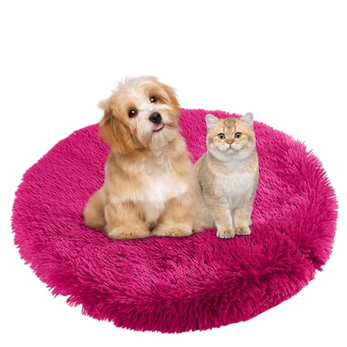 BESTORI Hundebett Flauschig Katzen Schlafplatz Matte Waschbar Hundekissen Haustierbett Weiche Polsterung für Kleine Mittel Große Haustier, Rosenrot, 70 x 70 cm BESTORI Hundebett Flauschig Katzen Schlafplatz Matte Waschbar Hundekissen Haustierbett Weiche Polsterung für Kleine Mittel Große Haustier, Rosenrot, 70 x 70 cm von BESTORI