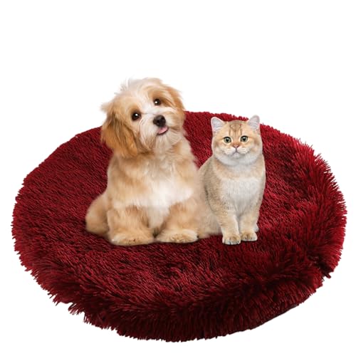 BESTORI Hundebett Flauschig Katzen Schlafplatz Matte Waschbar Hundekissen Haustierbett Weiche Polsterung für Kleine Mittel Große Haustier, Weinrot, 90 x 90 cm BESTORI Hundebett Flauschig Katzen Schlafplatz Matte Waschbar Hundekissen Haustierbett Weiche Polsterung für Kleine Mittel Große Haustier, Weinrot, 90 x 90 cm von BESTORI