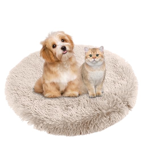 BESTORI Hundebett Flauschig Katzen Schlafplatz Matte Waschbar Hundekissen Haustierbett Weiche Polsterung für Kleine Mittel Große Haustier, Weiß, 100 x 100 cm von BESTORI