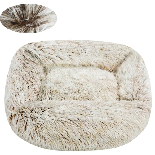 BESTORI Hundebett Gradient Katzenbett Flauschig Hundematte mit rutschfeste Unterseite Weiche Haustierbett Maschinenwaschbar Katze Kissen, Beige, 75 x 65 cm BESTORI Hundebett Gradient Katzenbett Flauschig Hundematte mit rutschfeste Unterseite Weiche Haustierbett Maschinenwaschbar Katze Kissen, Beige, 75 x 65 cm von BESTORI