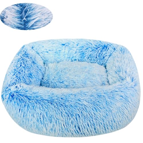 BESTORI Hundebett Gradient Katzenbett Flauschig Hundematte mit rutschfeste Unterseite Weiche Haustierbett Maschinenwaschbar Katze Kissen, Blau, 55 x 45 cm BESTORI Hundebett Gradient Katzenbett Flauschig Hundematte mit rutschfeste Unterseite Weiche Haustierbett Maschinenwaschbar Katze Kissen, Blau, 55 x 45 cm von BESTORI