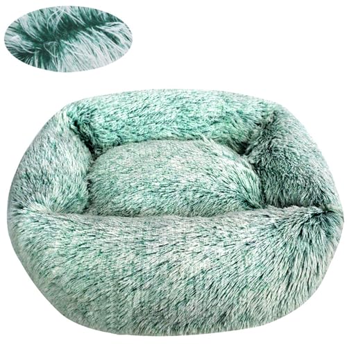 BESTORI Hundebett Gradient Katzenbett Flauschig Hundematte mit rutschfeste Unterseite Weiche Haustierbett Maschinenwaschbar Katze Kissen, Grün, 45 x 35 cm BESTORI Hundebett Gradient Katzenbett Flauschig Hundematte mit rutschfeste Unterseite Weiche Haustierbett Maschinenwaschbar Katze Kissen, Grün, 45 x 35 cm von BESTORI