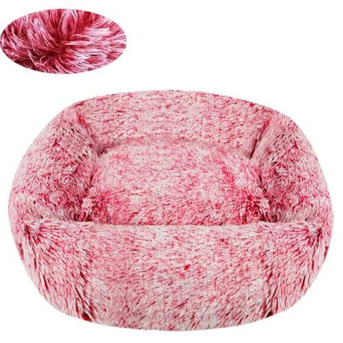 BESTORI Hundebett Gradient Katzenbett Flauschig Hundematte mit rutschfeste Unterseite Weiche Haustierbett Maschinenwaschbar Katze Kissen, Weinrot, 45 x 35 cm BESTORI Hundebett Gradient Katzenbett Flauschig Hundematte mit rutschfeste Unterseite Weiche Haustierbett Maschinenwaschbar Katze Kissen, Weinrot, 45 x 35 cm von BESTORI