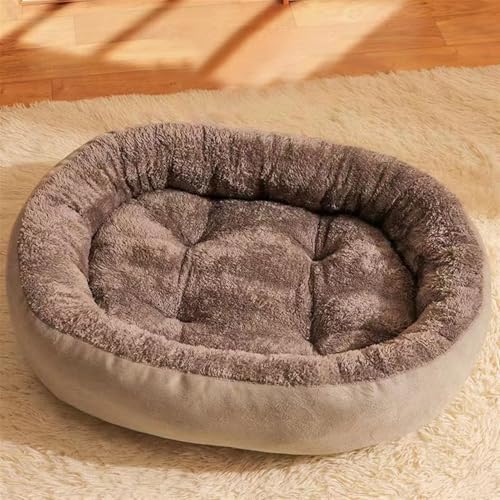BESTORI Hundebett Katzenbett Maschinenwaschbar Flauschig Hundekissen Weiche Haustierbett Katzen Schlafplatz Matte für Hunde Katze, Grau 2, 50 x 40 cm BESTORI Hundebett Katzenbett Maschinenwaschbar Flauschig Hundekissen Weiche Haustierbett Katzen Schlafplatz Matte für Hunde Katze, Grau 2, 50 x 40 cm von BESTORI
