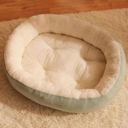 BESTORI Hundebett Katzenbett Maschinenwaschbar Flauschig Hundekissen Weiche Haustierbett Katzen Schlafplatz Matte für Hunde Katze, Grün 2, 75 x 60 cm BESTORI Hundebett Katzenbett Maschinenwaschbar Flauschig Hundekissen Weiche Haustierbett Katzen Schlafplatz Matte für Hunde Katze, Grün 2, 75 x 60 cm von BESTORI