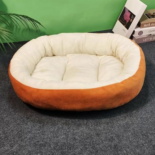 BESTORI Hundebett Katzenbett Maschinenwaschbar Flauschig Hundekissen Weiche Haustierbett Katzen Schlafplatz Matte für Hunde Katze, Khaki 1, 50 x 40 cm BESTORI Hundebett Katzenbett Maschinenwaschbar Flauschig Hundekissen Weiche Haustierbett Katzen Schlafplatz Matte für Hunde Katze, Khaki 1, 50 x 40 cm von BESTORI