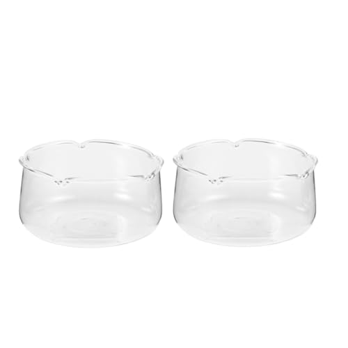 BESTOYARD 2 Stück Transparente Blumentöpfe Aus Glas Blumenvase Dekoratives Aquarium Mikrolandschaft Glasflasche Glasanzuchtvase Kleines Terrarium Glastopf Für Pflanzen Glasterrarium von BESTOYARD