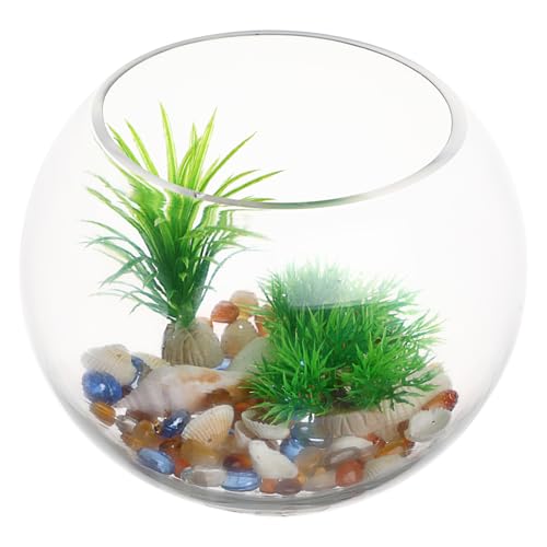 BESTOYARD Kleines Dekoratives Aquarium aus Runde Fischschale für Fische Garnelen und Pflanzen Design für Zuhause und Büro BESTOYARD Kleines Dekoratives Aquarium aus Runde Fischschale für Fische Garnelen und Pflanzen Design für Zuhause und Büro von BESTOYARD