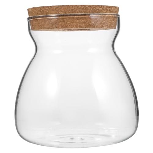 BESTOYARD Terrarium Glasbehälter für Hydroponische Pflanzen Mittelgroßer Ökosystem Container mit Lochdeckel für Sukkulenten und Miniaturgärten für Wohnräume von BESTOYARD