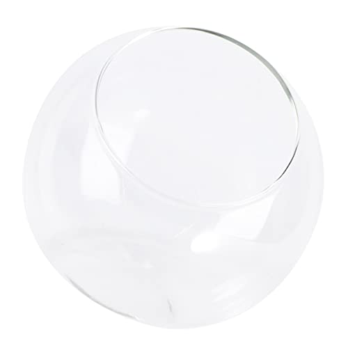 BESTYASH 1Stück Kleiner Terrarium Glasflasche für Selbstgemacht Mikro Landschaft Transparentes Glasgefäß für Pflanzen und Dekoration Handgefertigt Langlebig für Zuhause und Büro von BESTYASH