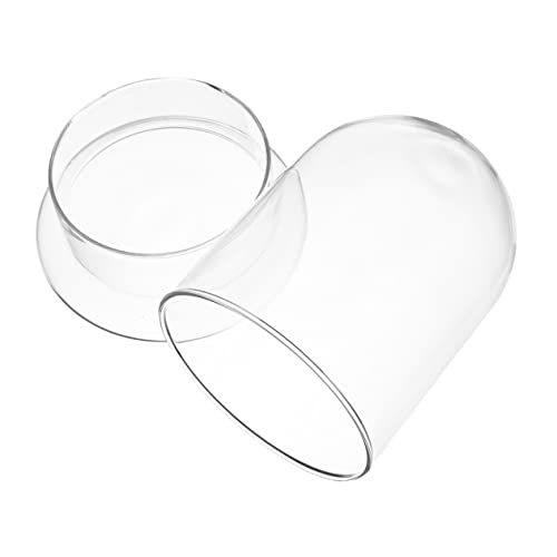BESTYASH Dekorative Glasflasche für Mikrolandschaften Ökologisches Terrarium für DIY Projekte für Wohn und Bürodekoration Transparentes Design für Blumen und Pflanzen von BESTYASH