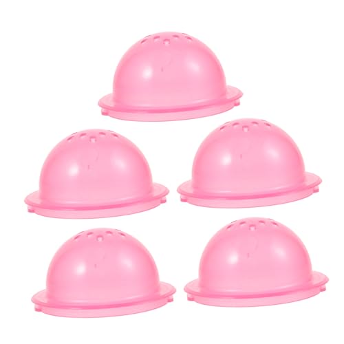 5Stücke Teiliges Externer Röhrenstopper für Hamster DIY Hamsterrohrende Sicheres Zubehör für Käfige Fördert Erkundung und Gesunde Gewohnheiten Farbvariante 5Stücke Teiliges Externer Röhrenstopper für Hamster DIY Hamsterrohrende Sicheres Zubehör für Käfige Fördert Erkundung und Gesunde Gewohnheiten Farbvariante von BESTonZON