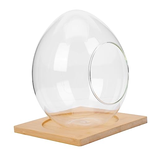 BESTonZON -landschaftsflasche Aus Pflanzenterrarium Ökologische Glasflasche Hydroponischer Glaspflanzer Glasvase Für Blumen Pflanzen Und Moos von BESTonZON