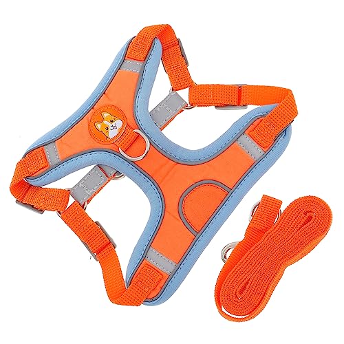 BESTonZON 1 Satz Kleiner Hundegurt und Leine kleines Geschirr für Hunde Hundegeschirr Welpe züchten Geschirr für kleine Hunde Hundegeschirre Welpengeschirr, Leine Tuch Orange BESTonZON 1 Satz Kleiner Hundegurt und Leine kleines Geschirr für Hunde Hundegeschirr Welpe züchten Geschirr für kleine Hunde Hundegeschirre Welpengeschirr, Leine Tuch Orange von BESTonZON