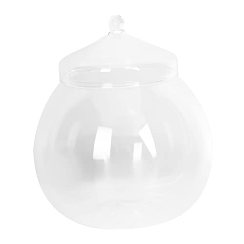 BESTonZON 1 Satz Ökologische Mikrolandschaftsflasche Terrarienglas Terrarienschale mit Deckel saftig Container Anlage bürodeko Living Room Decoration dekorative Glasvase einfache Glasflasche von BESTonZON