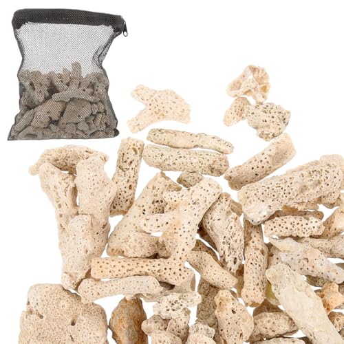 BESTonZON 1 Set Natürliches Korallenfiltermedium, Wiederverwendbares Fischbeckenfiltermedium, Aquariensubstrat, Beige, 4 x 1,5 x 1,5 cm BESTonZON 1 Set Natürliches Korallenfiltermedium, Wiederverwendbares Fischbeckenfiltermedium, Aquariensubstrat, Beige, 4 x 1,5 x 1,5 cm von BESTonZON
