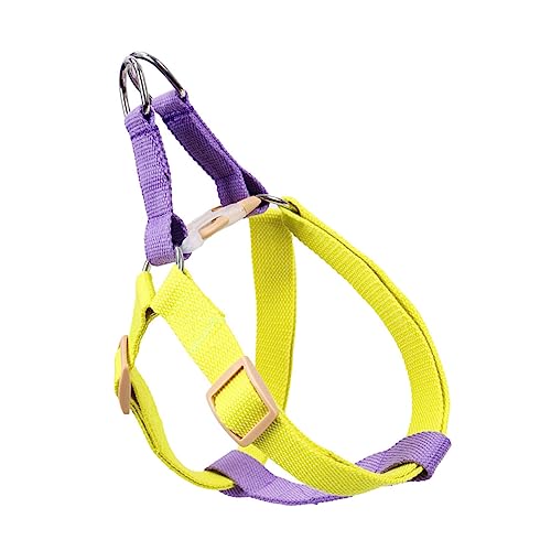BESTonZON 1 Stück Hundegeschirr in Farbe kleines hundegeschirr Haustier hundezuggeschirr Verstellbares Hundegeschirr Brustkleidung für Hunde Hund Walking -Geschirr Polyesterband Violett von BESTonZON