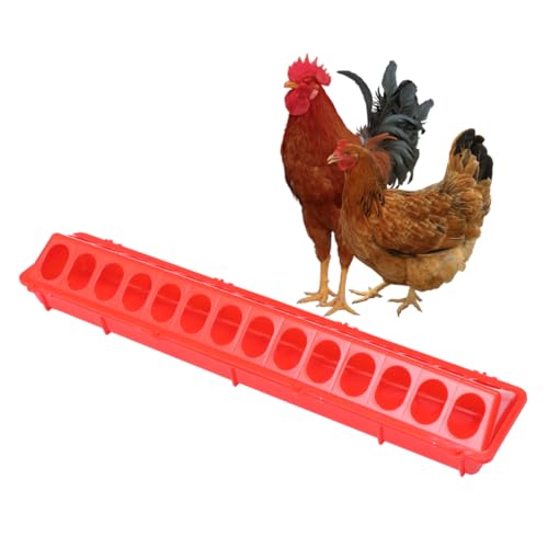 BESTonZON 1 Stück Rote Vogelfutterstation für Tauben und Kleine Futterspender für Papageien und Wellensittiche zu Reinigen und Langlebig für Tiergeschäfte von BESTonZON