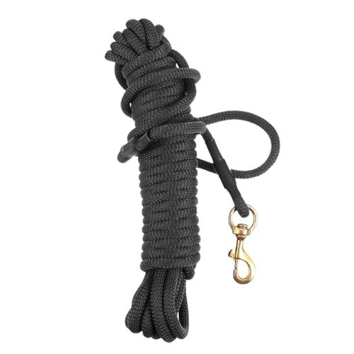 BESTonZON 10 Hundeleine lang Hundelauf erweitert Kette für Hunde Größe hundegurt hundegürtel Laufleine große Hundetrainingsleine Haustier Hund Seilleine Haustierleine Polypropylen Black BESTonZON 10 Hundeleine lang Hundelauf erweitert Kette für Hunde Größe hundegurt hundegürtel Laufleine große Hundetrainingsleine Haustier Hund Seilleine Haustierleine Polypropylen Black von BESTonZON