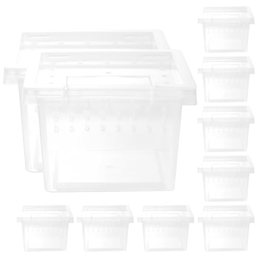 BESTonZON 10 Stück Kleines Reptilien Habitat Teiliges Terrarium mit Belüftung und Design für Reptilien Insekten und Kleine Tiere aus Langlebigem Kunststoff BESTonZON 10 Stück Kleines Reptilien Habitat Teiliges Terrarium mit Belüftung und Design für Reptilien Insekten und Kleine Tiere aus Langlebigem Kunststoff von BESTonZON