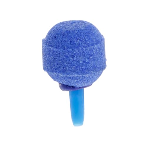 BESTonZON 10 Stück Luftsteine Kugelform für Aquarien Mineralische Blasen Diffusoren zur Belüftung und Sauerstoffanreicherung für Fischbecken und Hydroponik Blau BESTonZON 10 Stück Luftsteine Kugelform für Aquarien Mineralische Blasen Diffusoren zur Belüftung und Sauerstoffanreicherung für Fischbecken und Hydroponik Blau von BESTonZON