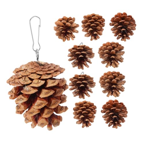 BESTonZON 10 Stück Teiliges Papageien Kauspielzeug aus Robustem Natur Kiefernzapfen Hängendes Sicheres für Wellensittiche und Haustier Vögel Langlebig Schutz vor Käfigkauen Geeignet von BESTonZON