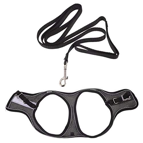 BESTonZON 1Satz Katzengeschirr und Leine Set Verstellbar und Atmungsaktiv für Outdoor Wanderungen mit Komfortabler Weste für Kleine und Große Katzen von BESTonZON